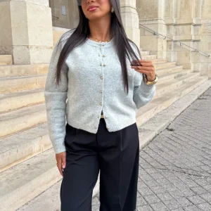 Cardigan Chloé gris clair BF